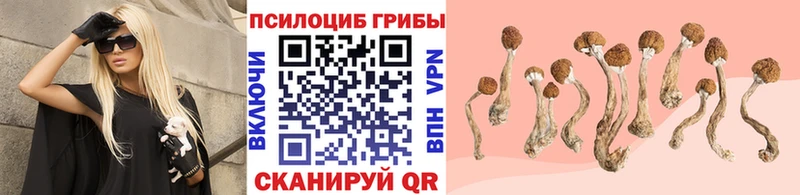 Псилоцибиновые грибы мицелий наркота omg онион Верхнеуральск